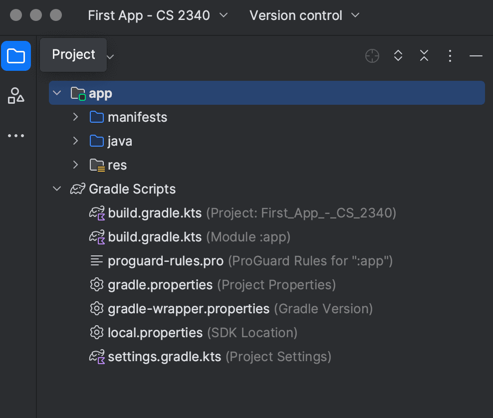 Project pane